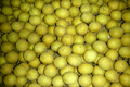 longan